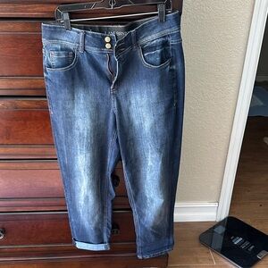 Lane Bryant Blue Denim Crop Pants